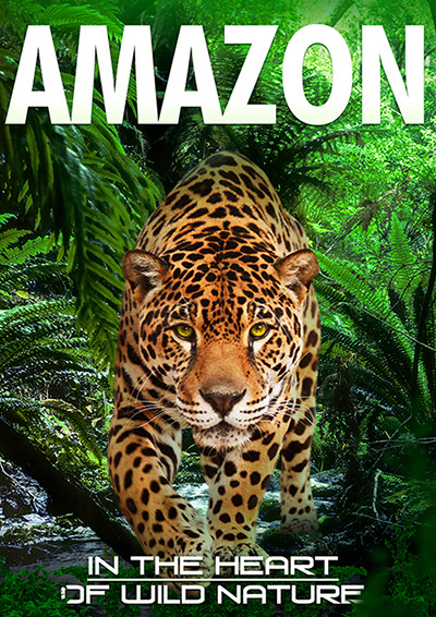Amazon 3D