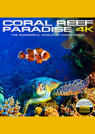 Coral Reef Paradise 4K