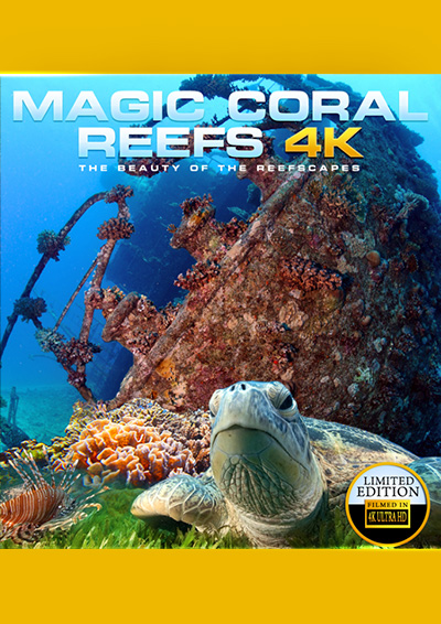 Magic Coral Reefs 4K