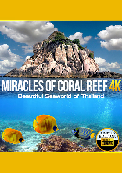 Miracles of Coral Reef 4K