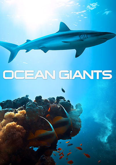 Ocean Giants 3D