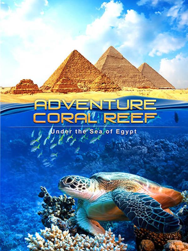 Adventure Coral Reef 3D