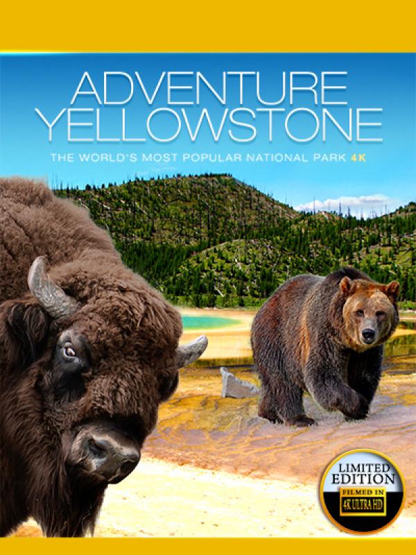 Adventure Yellowstone 4k
