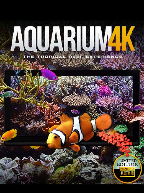 Aquarium 4K