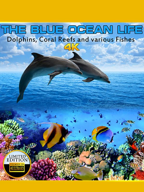 Blue Ocean Life 4K, The