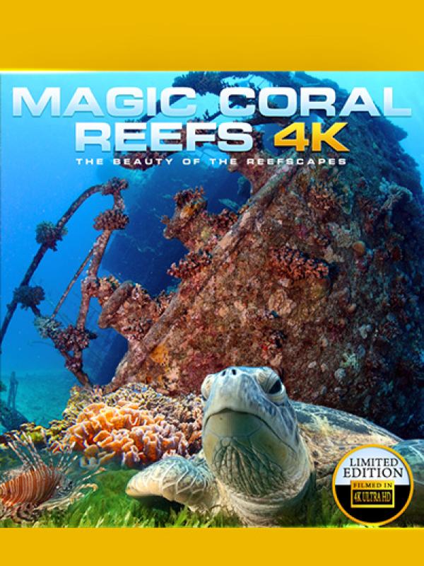 Magic Coral Reefs 4K