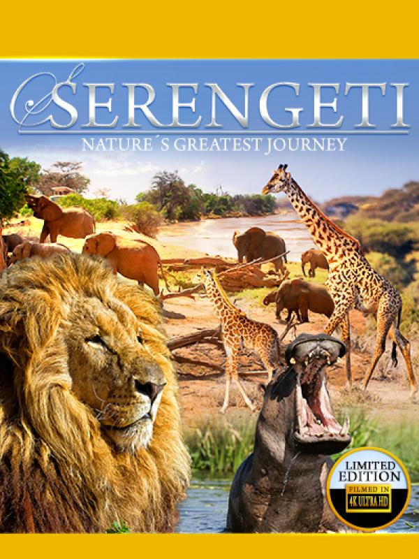 Serengeti 4K