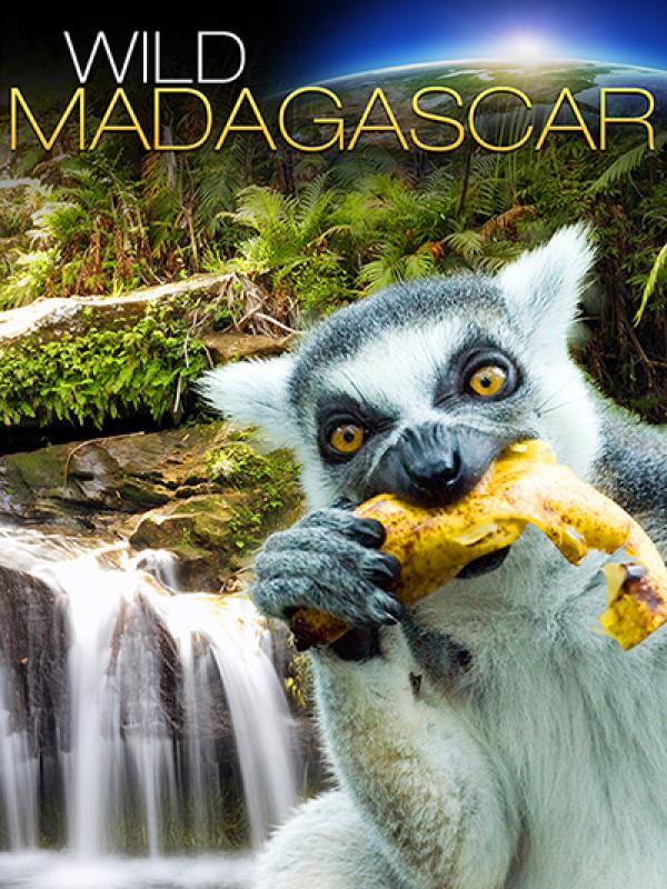 Wild Madagascar 3D 
