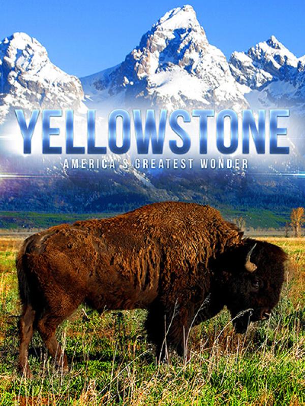 Yellowstone 3D